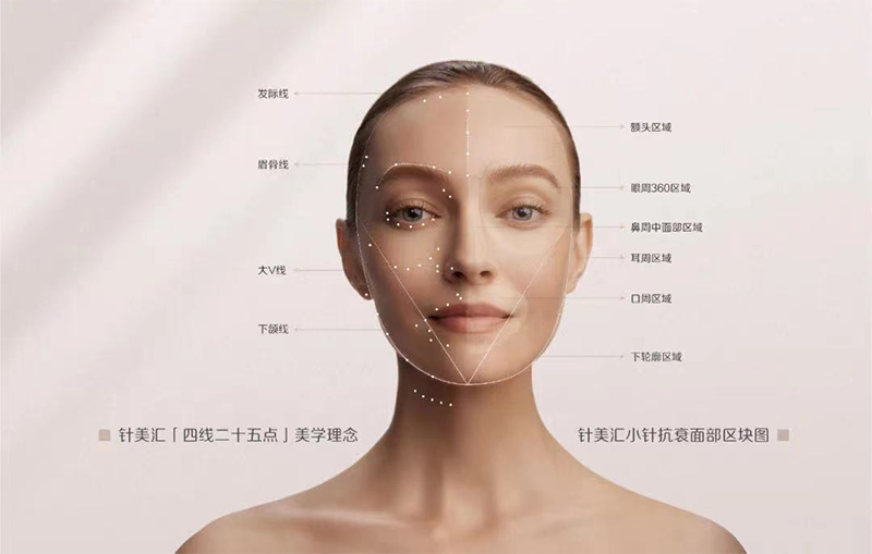 针美汇颈部延缓衰老
